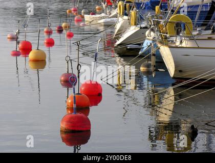 Der Yachthafen in Dragsoe des Segelclubs Karlskrona, Schweden, Europa Stockfoto