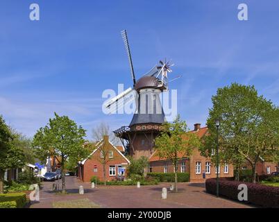 Ditzum Windmühle, Ditzum 01 Stockfoto