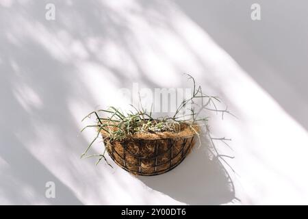 Ein Blumentopf in Form eines Nestes hängt an einer weißen Wand. Stil, Designkonzepte. Stockfoto