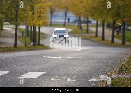 Zebra überquert auf einer schmalen Straße mit dem Auto nähert Stockfoto