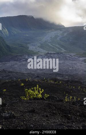 Alter Lavastrom des Vulkans Fournaise auf Reunion Island in der Nähe der Küste Stockfoto