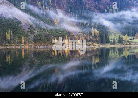 Der vordere Gosausee im Herbst. Teil des Seeufers, mit Wolken. Bäume in Herbstlaub, gelbe Lärchen. Reflexion. Vorderer Gosausee, Gosau, Gos Stockfoto