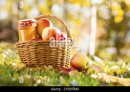 Marmelade im Glas und Korb voller frischer roter Äpfel auf Gras. Konzept der Herbsternte Stockfoto