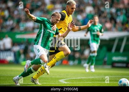 31.08.2024, WESERSTADION, GER, 1.FBL, SV Werder Bremen vs Borussia Dortmund im Bild Duell/Zweikampf zwischen Mitchell Weiser (Werder Bremen #08) und Niklas Süle/Suele (Borussia Dortmund #25), Foto © nordphoto GmbH/Rauch Gemäß den Vorgaben der DFL Deutsche Fußball Liga bzw. Des DFB Deutscher Fußball-Bund ist es untersagt, in dem Stadion und/oder vom Spiel angefertigte Fotoaufnahmen in Form von Sequenzbildern und/oder videoähnlichen Fotostrecken zu verwerten bzw. Verwerten zu lassen. Stockfoto