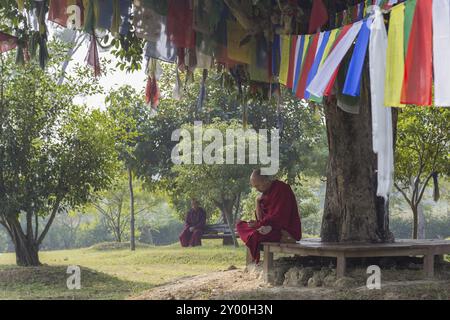 Lumbini, Nepal, 27. November 2014: Foto von buddhistischen Mönchen, die unter einem Baum mit Gebetsfalgen sitzen, Asien Stockfoto