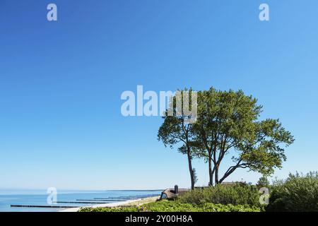 Strand an der Ostsee in der Nähe von Ahrenshoop Stockfoto