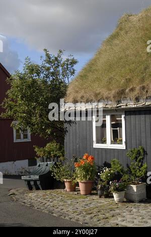 Haus mit Grasdach, Tinganes, Torshavn, Färöer Inseln, Europa Stockfoto