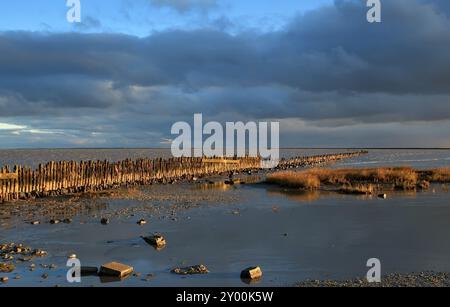 Alte niederländische Holzdeiche (Wellenbrecher) in der Nordsee Stockfoto