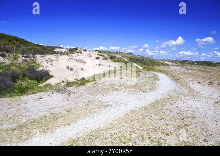 Pfad in Sanddünen über blauem Himmel, Zandvoort aan Zee Stockfoto