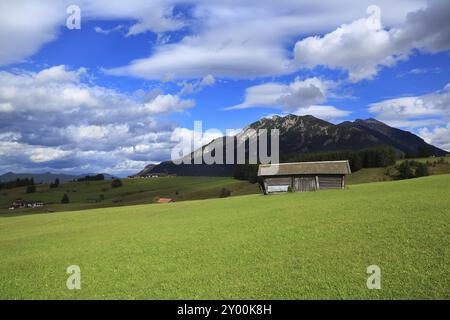 Holzhütten auf grünen Wiesen in den Alpen, Deutschland, Europa Stockfoto