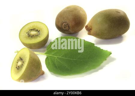 Halbierte Kiwis mit ganzen Kiwis und Blatt auf weißem Hintergrund Stockfoto