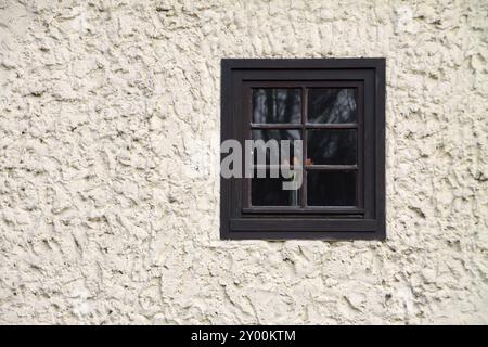 Fenster mit Tulpen Stockfoto