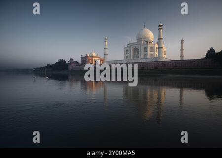 Gelbschnabelige Storchwanderung im Jamuna River neben dem Taj Mahal und seiner Reflexion bei Sonnenaufgang Stockfoto