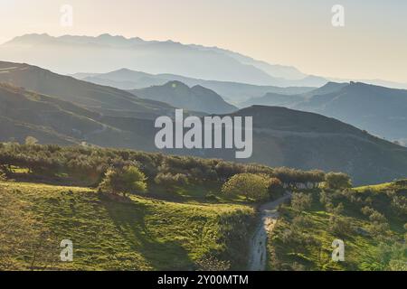 Hügelige Frühlingslandschaft mit Bäumen gegen das Licht am späten Nachmittag, Bergen im Hintergrund, Lefka Ori, White Mountains, Bergmassiv, W Stockfoto