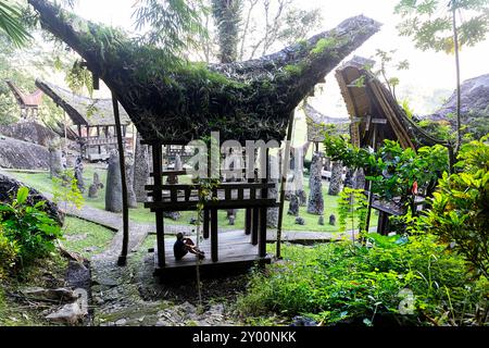 Touristen, Kind auf Familienurlaub, erkunden Bori Kalimbuang, megalithische Grabstätte umgeben von traditionellen tana toraja Gebäuden, sulawesi Stockfoto