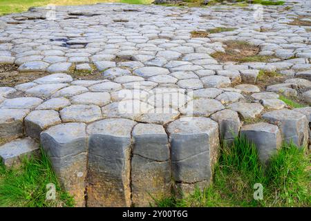 Kirkjugolf Basalt Felsenformationen im Dorf Kirkjubæjarklaustur im Süden Islands. Stockfoto