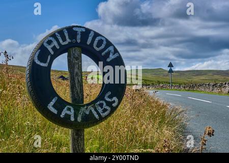 Achtung Lambs Reifenschild auf der B6276 in Lunedale, in der Nähe von Cross Hill, Lunedale, County Durham Stockfoto