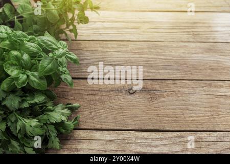 Gartenarbeit und gesundes Esskonzept mit verschiedenen Kräutern und Salat Blätter auf Holzhintergrund Stockfoto