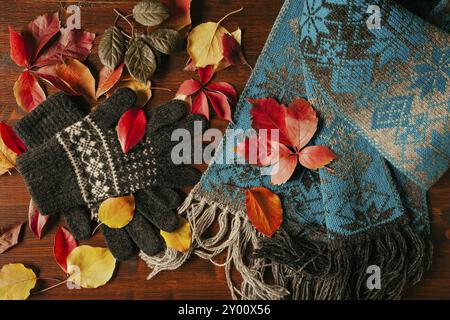 Handschuhe, Schal und bunt herbstliches Laub auf einer dunklen Tabelle von oben gesehen Stockfoto