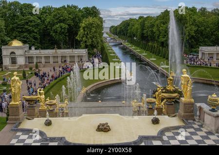 Herrlicher Blick auf einen herrlichen Garten mit Springbrunnen, goldenen Statuen und zahlreichen Wasserfontänen, gesäumt von Menschen, sankt petersburg, ostsee, Stockfoto