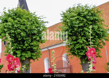 Hohe rote Blumen vor einer orange-roten Kirche mit grünen Bäumen, Svaneke, bornholm, ostsee, dänemark, skandinavien Stockfoto