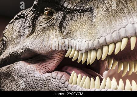 Tyrannosaurus, Dinosaurier aus der prähistorischen Zeit, der seinen zahnlosen Mund zeigt Stockfoto