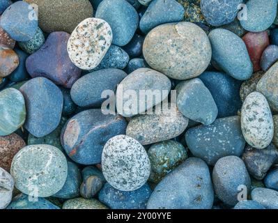 Detail mit verwitterten und getundelten Steinen am Strand Stockfoto