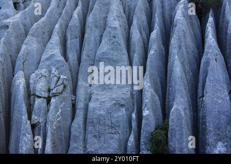 Mortix publiziert das Anwesen, die natürliche Umgebung der Sierra de Tramuntana, Mallorca, balearen, spanien Stockfoto