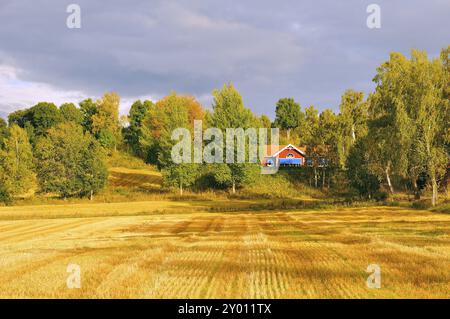 Typisches Landhaus in Schweden. Landhaus in Schweden Stockfoto