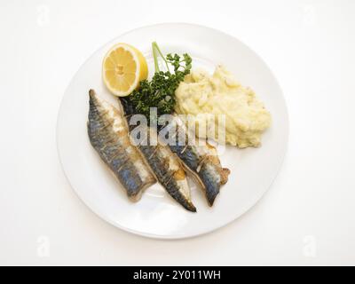 Gebratene Makrelenfilets auf weißem Teller mit Kartoffelpüree, halber Zitrone und Petersilie Stockfoto