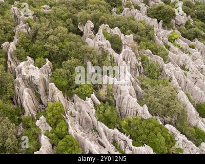 Lapiaz de Lluc, escorca, Mallorca, balearen, spanien Stockfoto