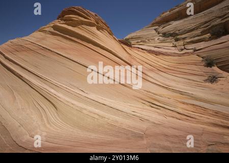 Die zweite Welle im Paria Canyon Stockfoto