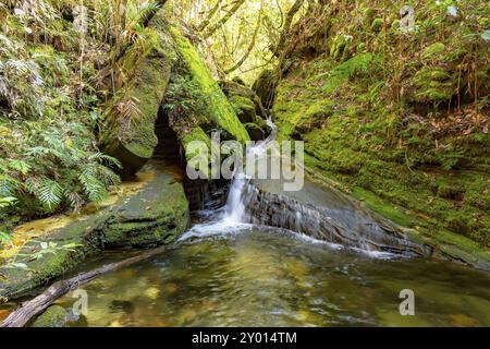 Fluss durch den Regenwald Vegetation in Carrancas, Minas Gerais, Brasilien mit bemoosten Felsen Stockfoto