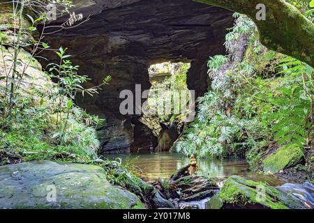 Höhle Interieur mit kleinen Fluss und See durch die Vegetation der brasilianische Regenwald umgeben Stockfoto