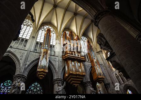 Pfeifenorgel und Bögen von St. Michael und St. Gudula Kathedrale - Brüssel, Belgien Stockfoto