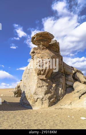 Felsformation in Reserva Nacional de Fauna Andina Edina Eduardo Avaroa Potasi, Bolivien, Südamerika Stockfoto