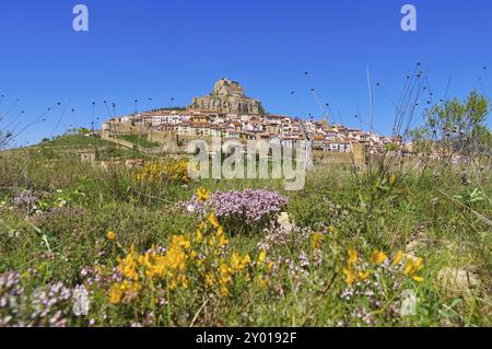 Die alte mittelalterliche Stadt Morella, Castellon in Spanien, die alte mittelalterliche Stadt Morella, Castellon in Spanien Stockfoto