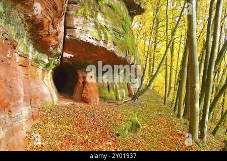 Altes Burggestein im Dahner Felsenland im Herbst, altes Burggestein im Dahn Rockland im Herbst, Deutschland, Europa Stockfoto