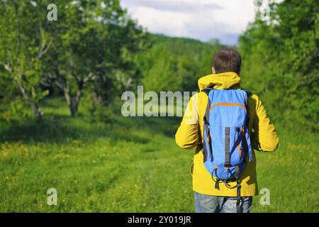 Rückansicht des Mann mit Rucksack wandern im Wald Stockfoto