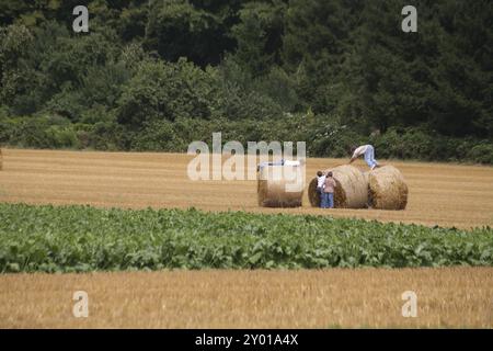 Kinder, die auf einem Stoppelfeld spielen Stockfoto