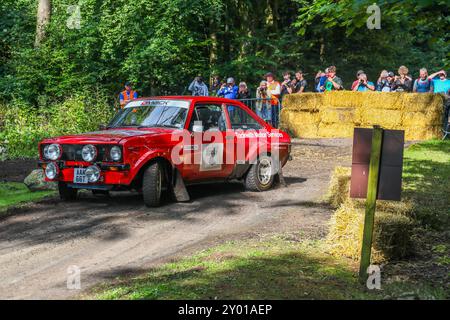 Kilmarnock, Schottland, Großbritannien. 31. August 2024. Kilmarnock, Großbritannien. Sechzig Rallyefahrzeuge mit internationalen und lokalen Teams, aufgeteilt in drei Gruppen, nahmen am Lombard Rally Festival Teil, durch das Waldgut Craufurdland Castle in der Nähe von Kilmarnock, Ayrshire, Schottland. Quelle: Findlay/Alamy Live News Stockfoto