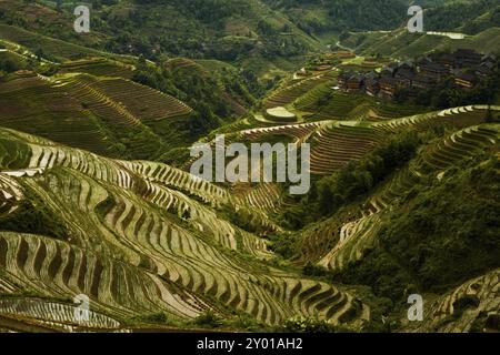 Eine steile Reihe überfluteter Reisterrassen stehen an einem bewölkten Tag in Longji, dem Drachenrückgrat in Guanxi, China, Asien, neben einem traditionellen Dorf Stockfoto