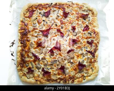 Frische hausgemachte Pizza, geschmolzener Käse, Pilze und Schinken Stockfoto