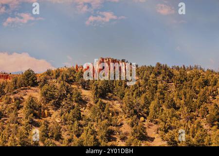 Die orange-roten Zinnen, Türme, Säulen und Hoodoos, Kalkstein- und Sandsteinformationen im Nationalpark Red Canyon in Utah Stockfoto