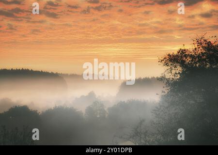 Sonnenaufgang über einem nebligen Wald. Morgengrauen im Feenwald mit dramatisch leuchtendem Himmel. Landschaftsfoto aus dem Saarland Stockfoto