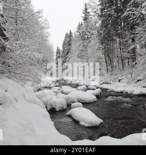 Saane, Fluss in den Schweizer Alpen an einem Wintertag Stockfoto