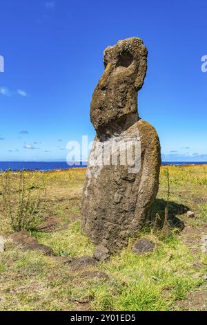 Moai im Nationalpark Rapa Nui auf der Osterinsel in Chile Stockfoto