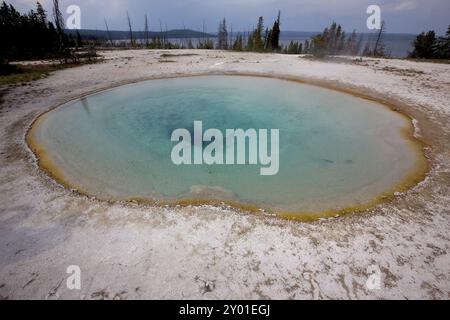 Heiße Quellen im West Thumb Basin im Yellowstone-Nationalpark Stockfoto