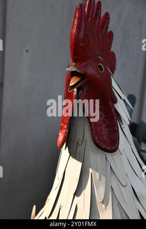 Reflexion von Baumstämmen und Ästen in Pfützen Stockfoto