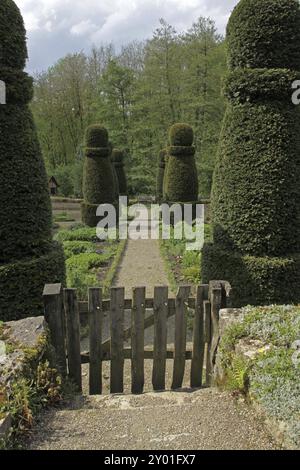 Garten mit Buchsbaumsäulen Stockfoto